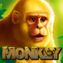 pp image