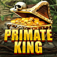 pp image